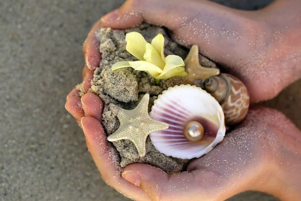 Sand Shells Starfish Hands Vacation Concept — Stock Photo, Image