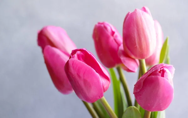 Spring Flowers Pink Tulips Bouquet Decor — Stock Photo, Image