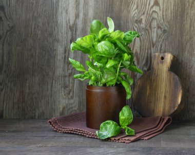 taze yeşil organik fesleğen, rustik tarzı