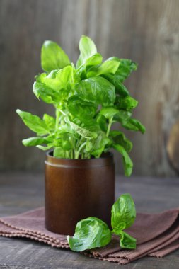 taze yeşil organik fesleğen, rustik tarzı