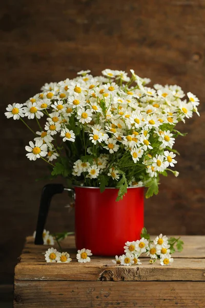 Bouquet Wildflowers Chamomile Wooden Background — Stock Photo, Image