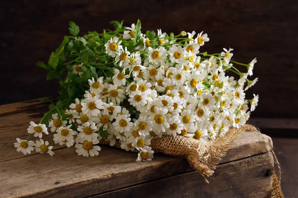 Bouquet Fiori Campo Camomilla Sfondo Legno — Foto Stock