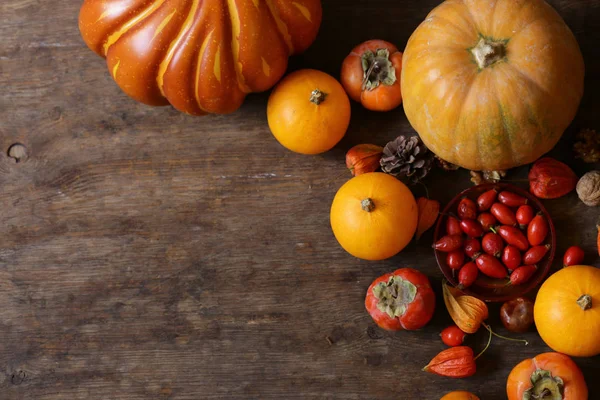 Automne Nature Morte Avec Des Citrouilles Des Baies — Photo