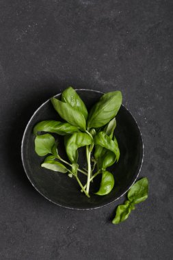 siyah gıda arka plan üzerinde bir tabakta kokulu fesleğen otlar