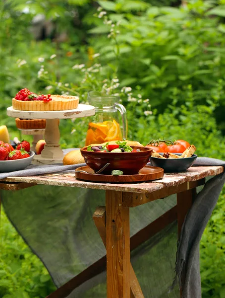 Piknik Természetben Torták Saláták Friss Bogyók Gyümölcsök — Stock Fotó