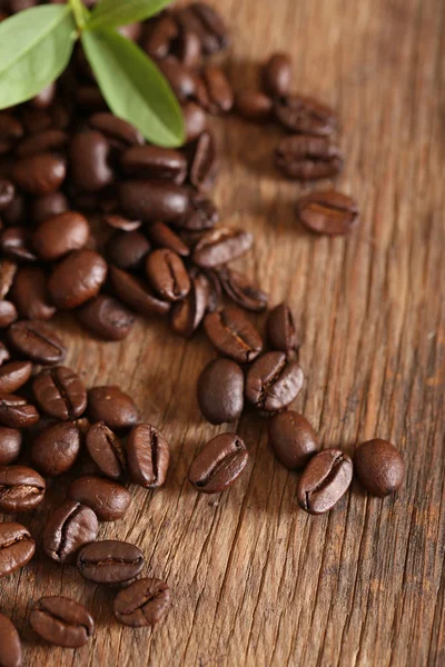 Ground Coffee Grains Macro Shot — Stock Photo, Image