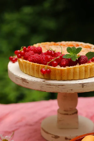 Piknik Přírodě Koláči Saláty Čerstvé Bobule Ovoce — Stock fotografie