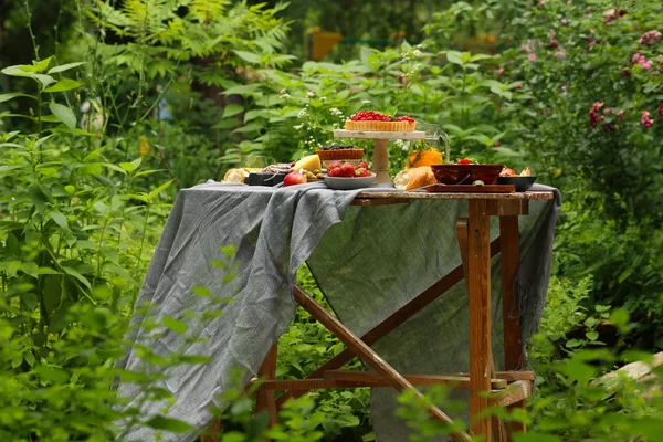 picnic in nature, pies and salads, fresh berries and fruits