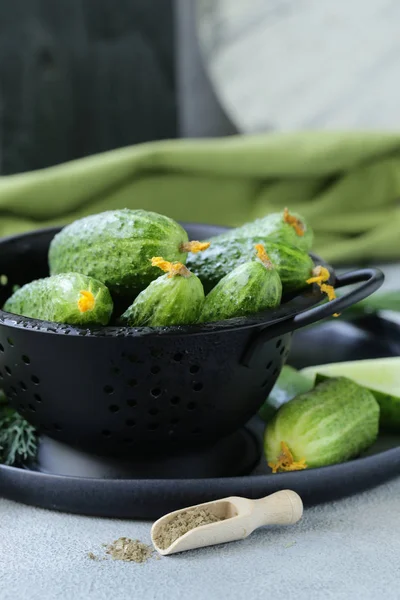 Fresh Organic Cucumbers Salad — Stock Photo, Image