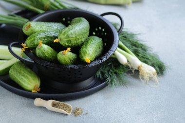 salata için taze organik salatalık