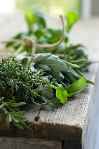 Fresh Organic Green Fragrant Herbs — Stock Photo, Image