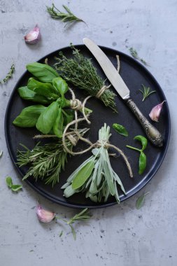 taze organik yeşil kokulu otlar