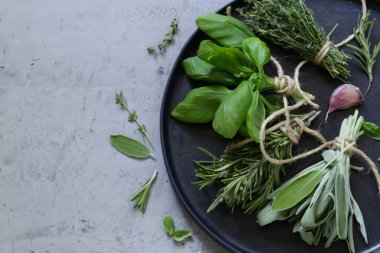 taze organik yeşil kokulu otlar