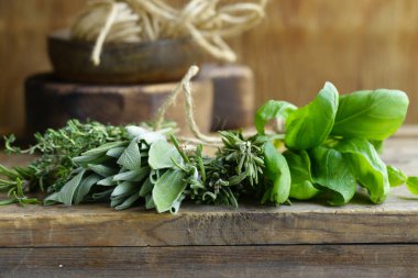 taze organik yeşil kokulu otlar