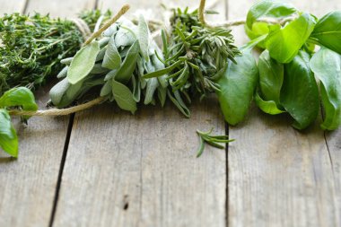 taze organik yeşil kokulu otlar