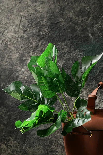 Органічний Мішок Зеленими Рослинами Сірому Фоні — стокове фото