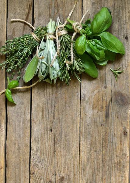 Fresh Organic Green Fragrant Herbs — Stock Photo, Image
