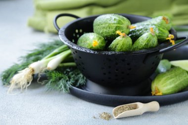 salata için taze organik salatalık