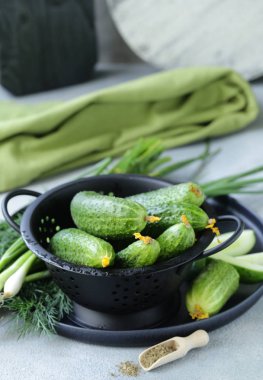 salata için taze organik salatalık