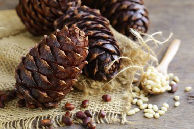 doğal organik çam kozalağı ve fındık