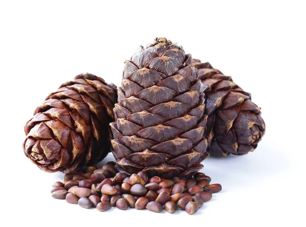 Natural Organic Pine Cones Nuts — Stock Photo, Image