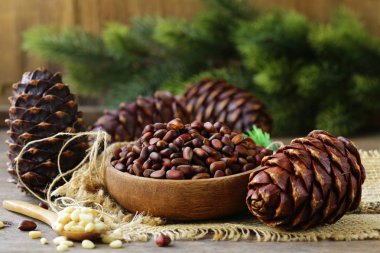 doğal organik çam kozalağı ve fındık