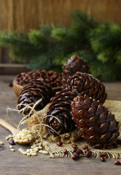 Cones Pinheiro Orgânicos Naturais Nozes — Fotografia de Stock