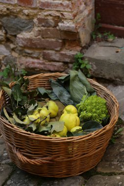 Yeşil yapraklı doğal organik ayva.