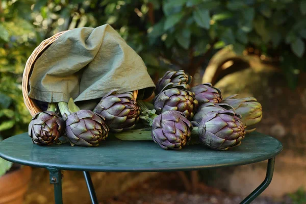 Artichauts Naturels Légumes Pourpres Pour Salade Mise Conserve — Photo