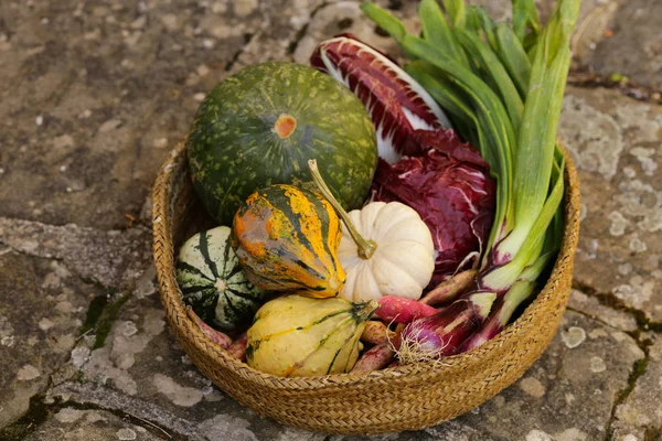 Récolte Légumes Automne Dans Panier Osier — Photo