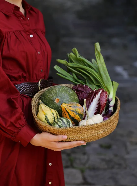 Sonbahar Sebzeleri Hasat Sepetinde — Stok fotoğraf