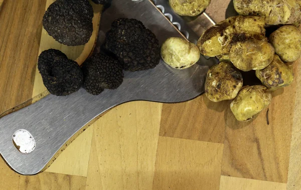 black and white truffle mushroom on the market