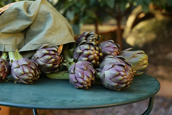 Artichauts Naturels Légumes Pourpres Pour Salade Mise Conserve — Photo