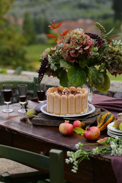 Hagyományos Olasz Desszert Tiramisu Torta — Stock Fotó