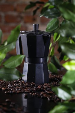 Kahve taneli sade kahve demliği.