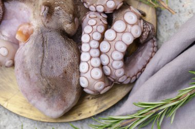 Bitki ve şaraplı taze ahtapot.