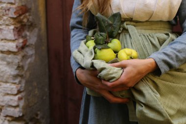 Yeşil yapraklı doğal organik ayva.