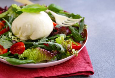 mozzarella burrata salatası fesleğen yapraklı ve domatesli
