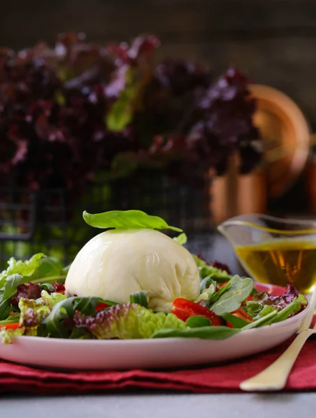 Mozzarella Burrata Salaatti Basilikan Lehdet Tomaatit — kuvapankkivalokuva