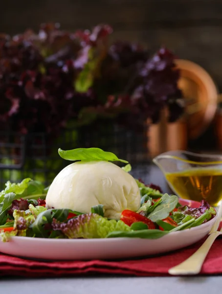 Mozzarella Burrata Salát Listy Bazalky Rajčaty — Stock fotografie