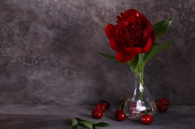 Hayat çiçekleri arka plan ve dekorasyon için