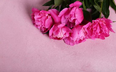 Hayat çiçekleri arka plan ve dekorasyon için