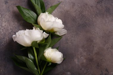 Hayat çiçekleri arka plan ve dekorasyon için