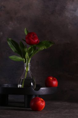 Hayat çiçekleri arka plan ve dekorasyon için