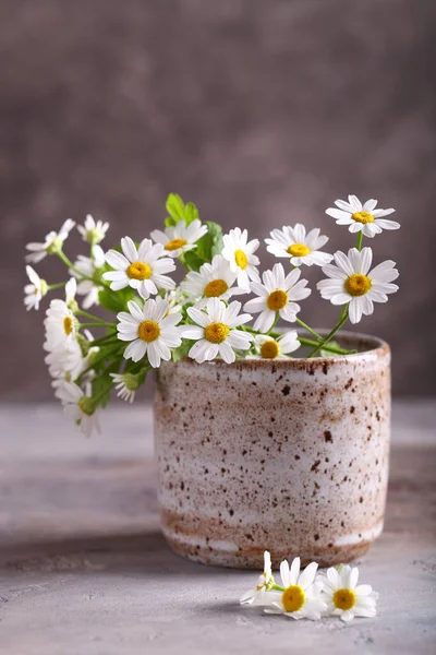 桌上花瓶里新鲜的天然有机雏菊 — 图库照片