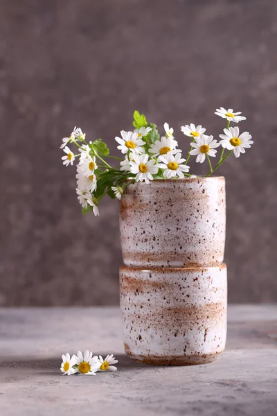 Verse Natuurlijke Biologische Madeliefjes Een Vaas Tafel — Stockfoto