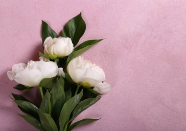 Hayat çiçekleri arka plan ve dekorasyon için