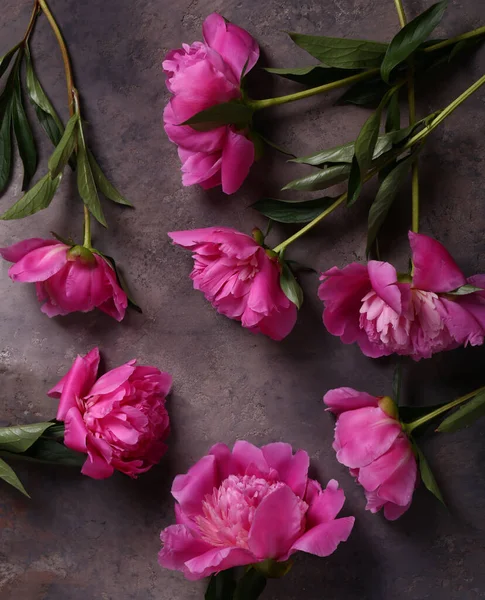 Natures Mortes Pivoines Fleurs Pour Fond Décoration — Photo