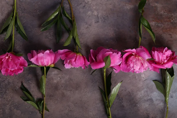 Still Life Peonies Flowers Background Decoration — Stock Photo, Image