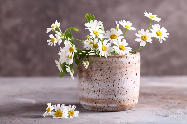 Margherite Biologiche Fresche Vaso Sul Tavolo — Foto Stock